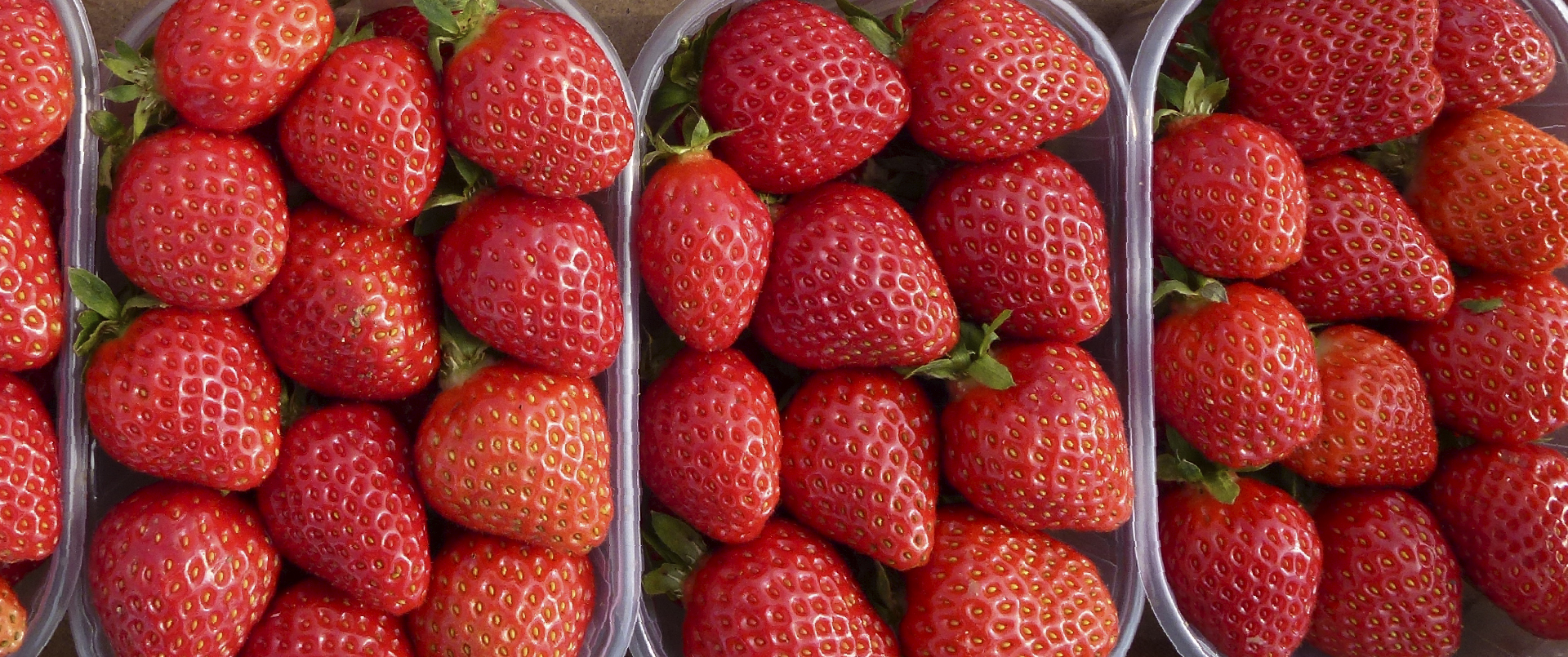 Greek Berries, Greek Strawberry