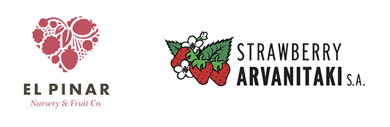 El Pinar & Straberry Arvanitakis - Logos