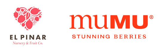 El Pinar & muMU - Logos